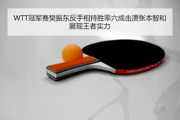 WTT冠军赛樊振东反手相持胜率六成击溃张本智和展现王者实力（yaxin）
